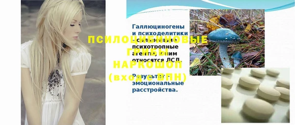 шишки Нефтегорск