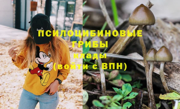 соль ск Нея
