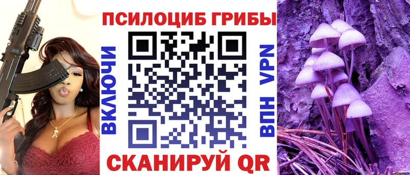 MEGA   Ессентуки  Псилоцибиновые грибы Magic Shrooms 