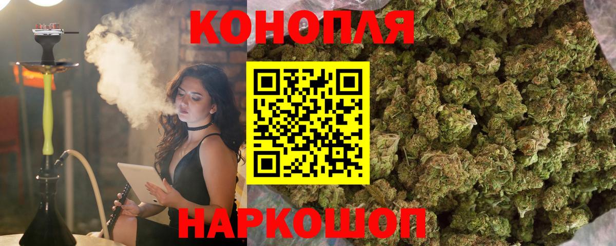 Бошки Шишки сатива Ессентуки