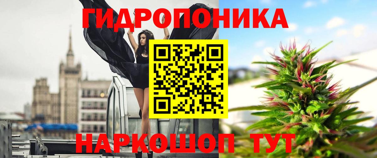 Шишки марихуана Ganja  Бошки марихуана планчик  Бошки Шишки THC 21%  Вход с VPN  МАРИХУАНА конопля  Ессентуки 